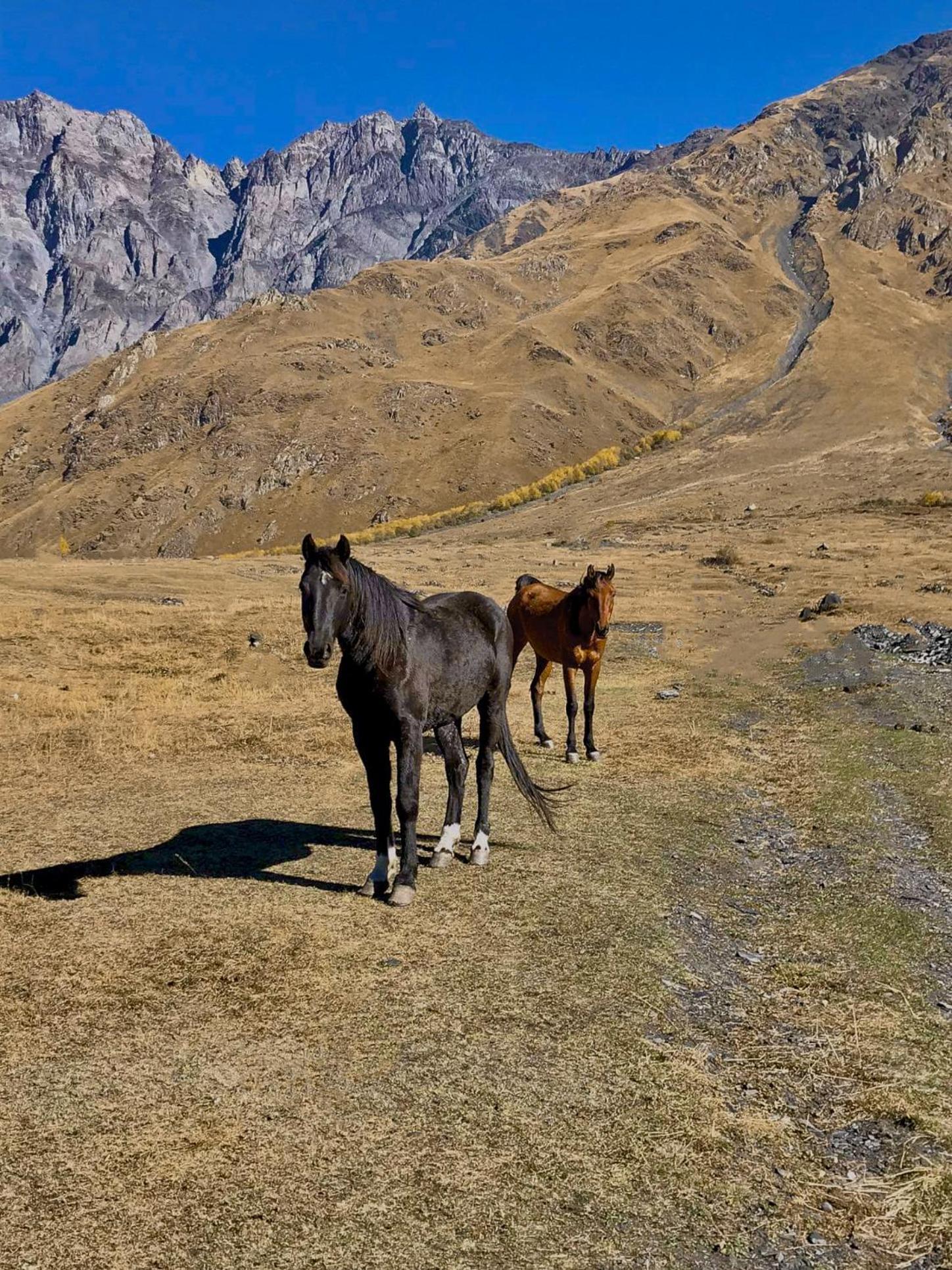 Kazbegi Inn Cottages Luaran gambar